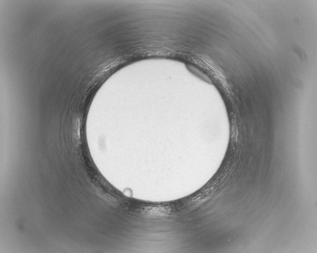 X0000115530115200912181535