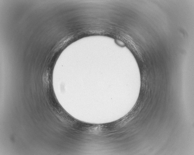 X0000115530116200912181535