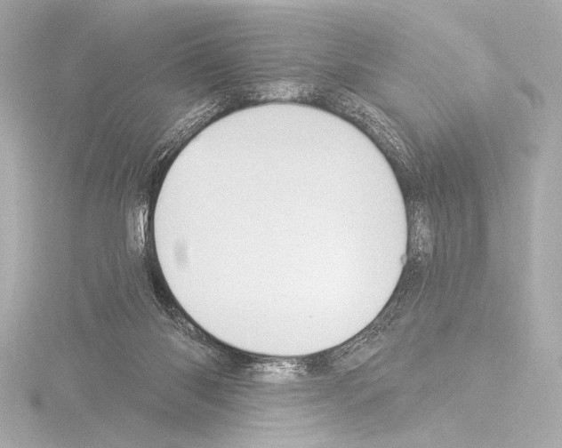 X0000115530118200912181535