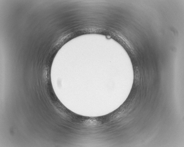 X0000115530119200912181535