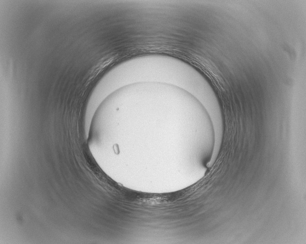 X0000115530120200912181535