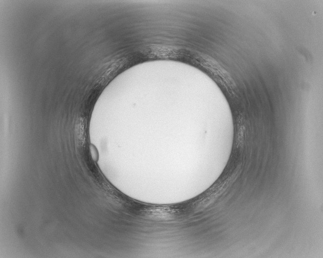 X0000115530121200912181535