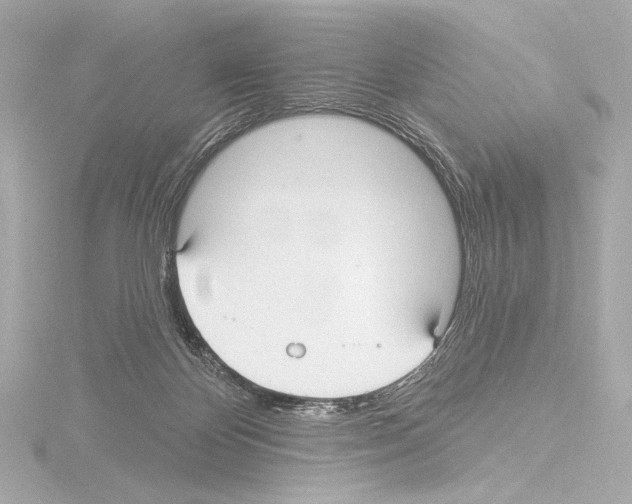 X0000115530124200912181535