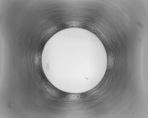 X0000115530126200912181535