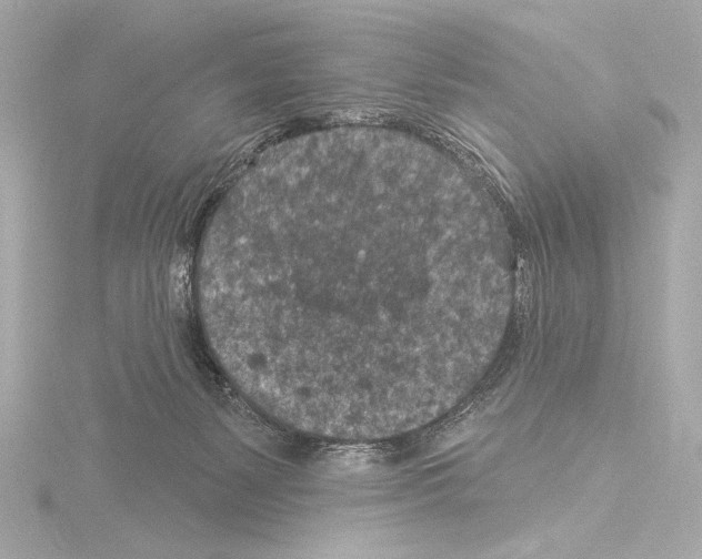 X0000115530127200912181535