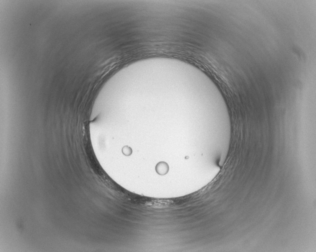 X0000115530128200912181535