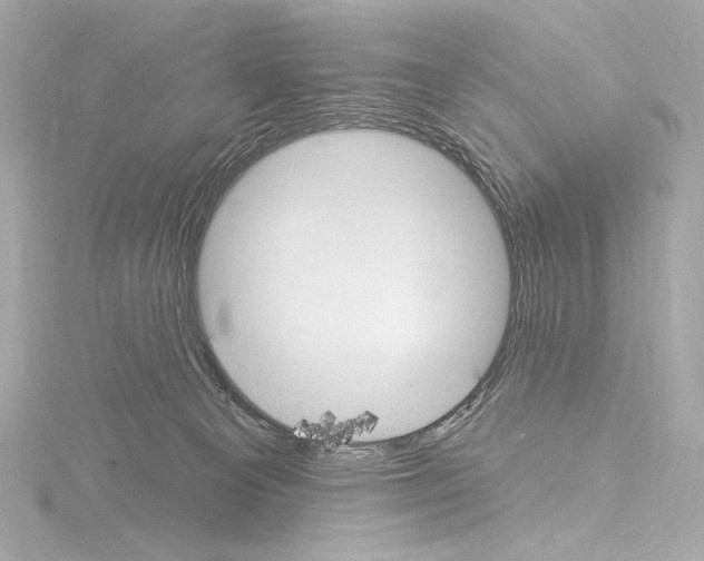 X0000115530129200912181535