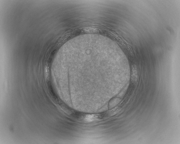 X0000115530130200912181535