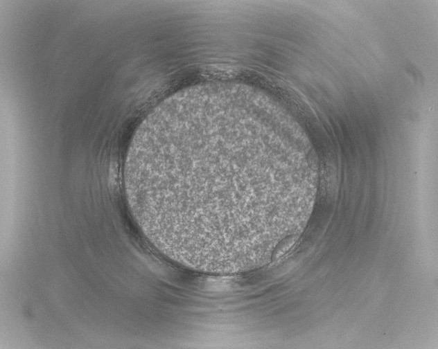 X0000115530134200912181535