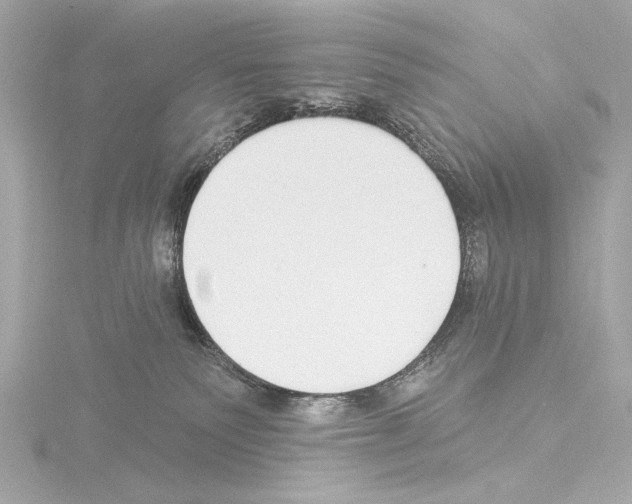 X0000115530135200912181535