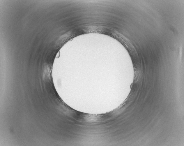 X0000115530142200912181534