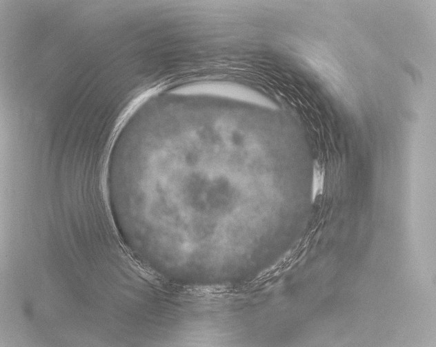 X0000115530147200912181534