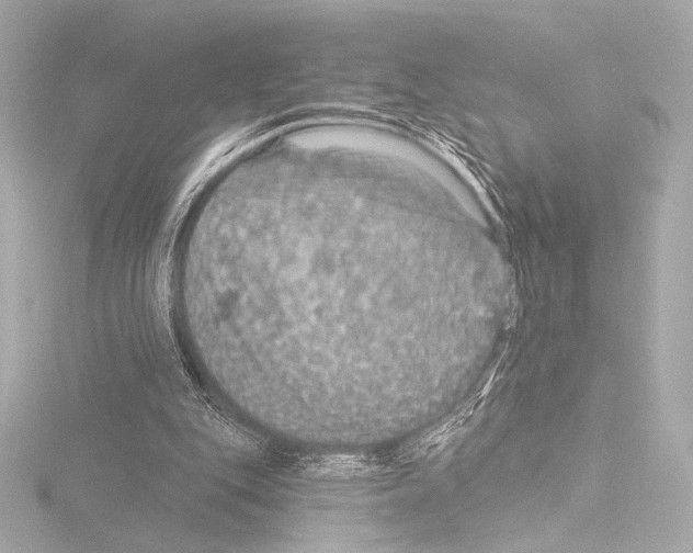 X0000115530151200912181534