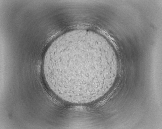 X0000115530153200912181534