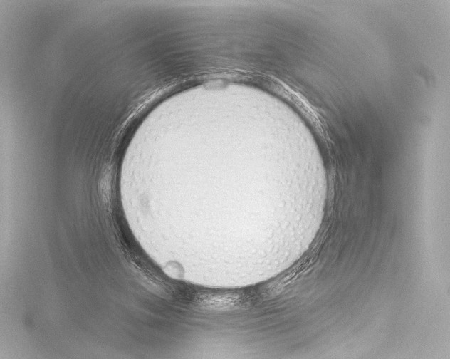 X0000115530155200912181534