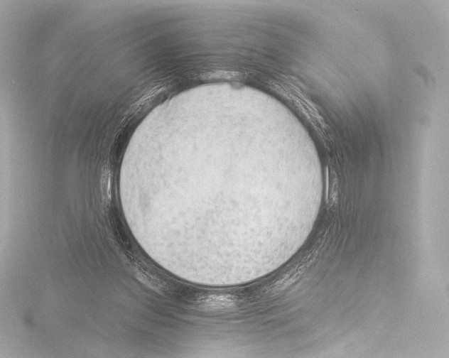 X0000115530157200912181534