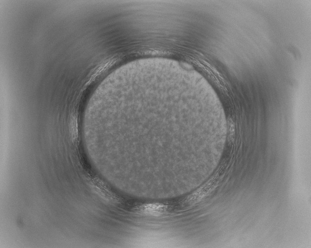 X0000115530158200912181534