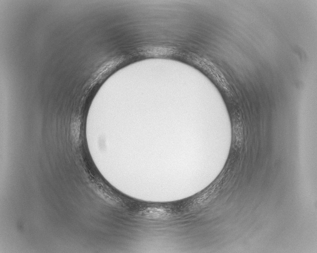 X0000115530159200912181534