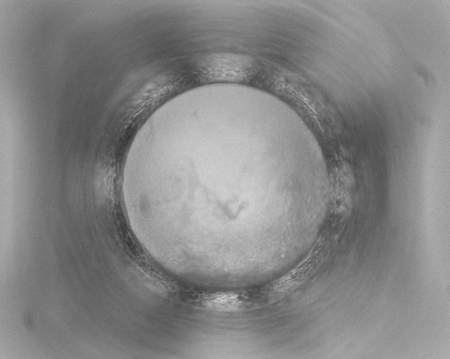 X0000115530162200912181534