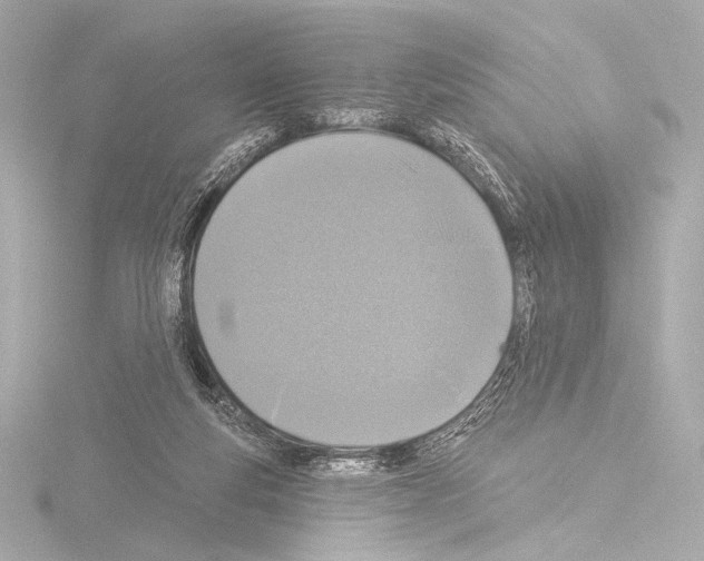 X0000115530163200912181534