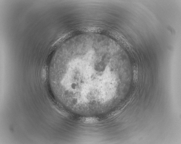 X0000115530165200912181534