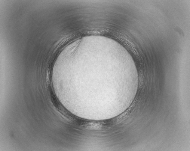 X0000115530166200912181534