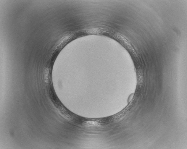 X0000115530167200912181534