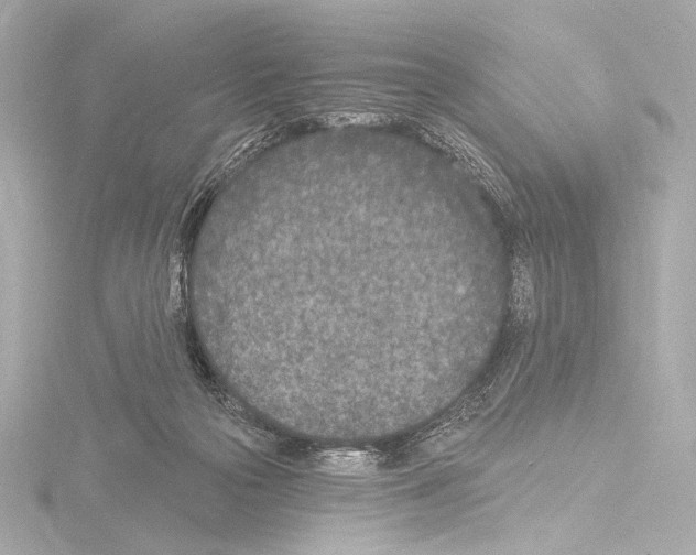 X0000115530169200912181534