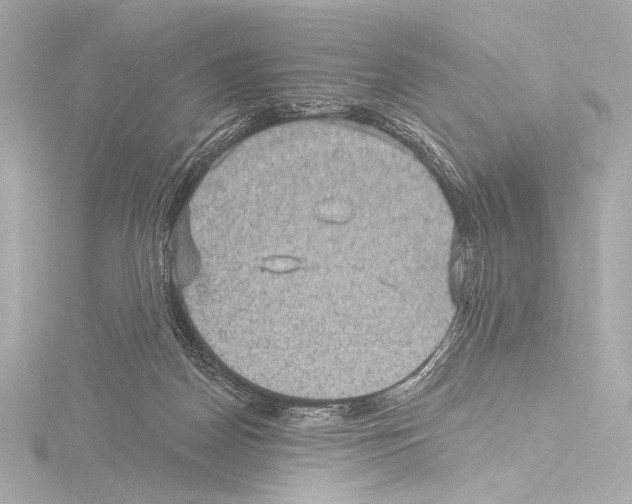 X0000115530170200912181534