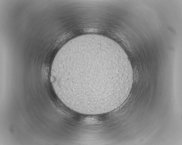 X0000115530171200912181534