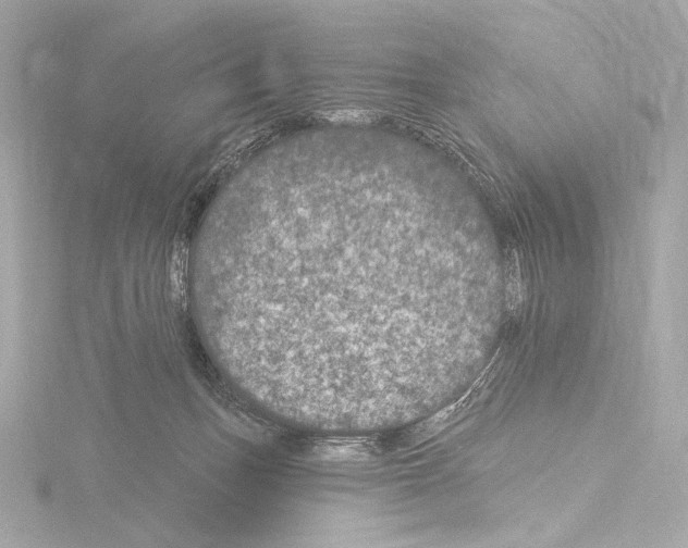 X0000115530175200912181534