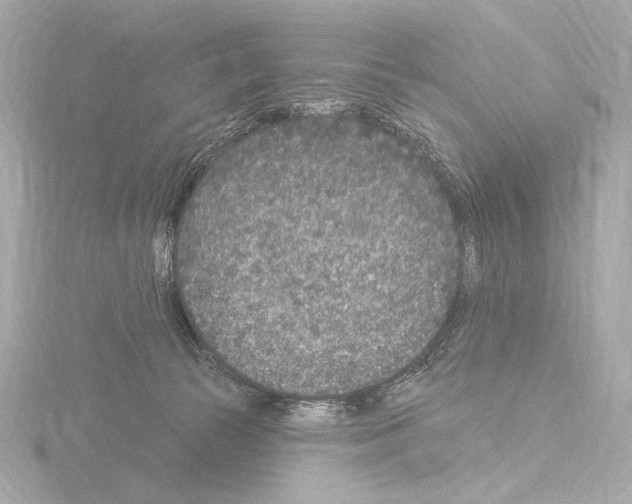 X0000115530177200912181534