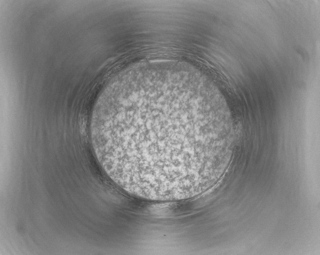 X0000115530178200912181534