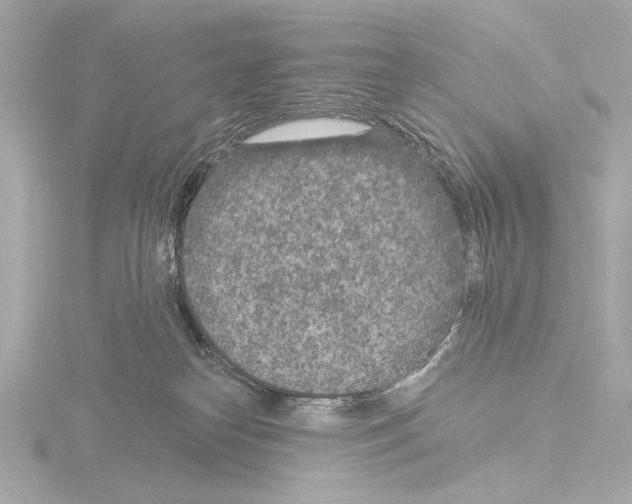 X0000115530182200912181534