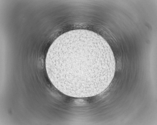 X0000115530183200912181534