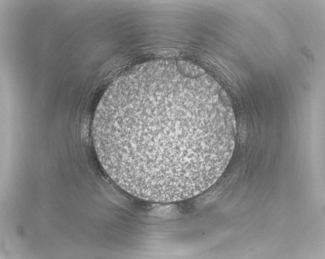 X0000115530185200912181534