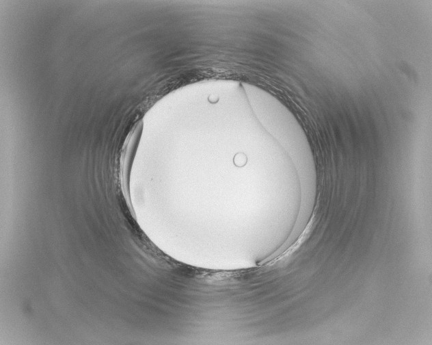 X0000115530186200912181534