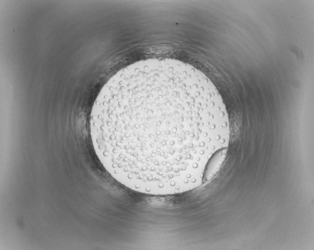 X0000115530187200912181534