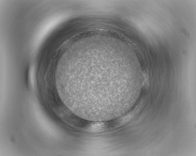 X0000115530189200912181534