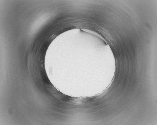 X0000115530190200912181534