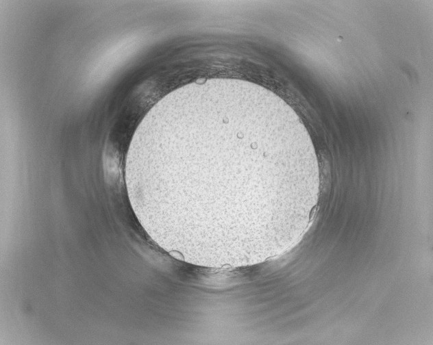 X0000115530191200912181534