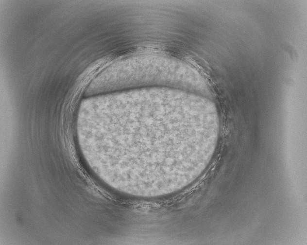 X0000115530193200912181534