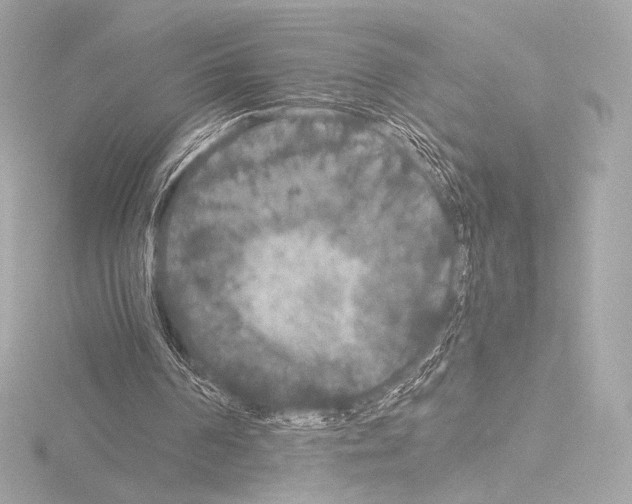 X0000115530194200912181534