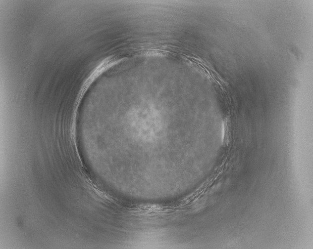 X0000115530195200912181534