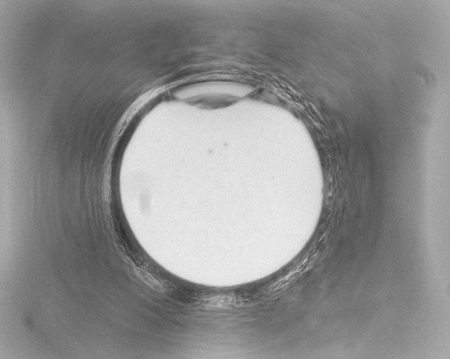 X0000115530200200912181534