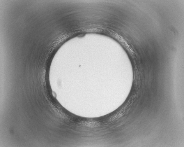 X0000115530201200912181534