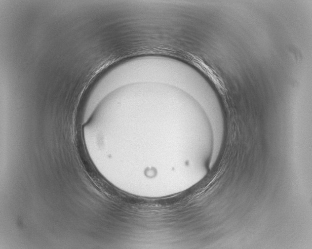 X0000115530203200912181534