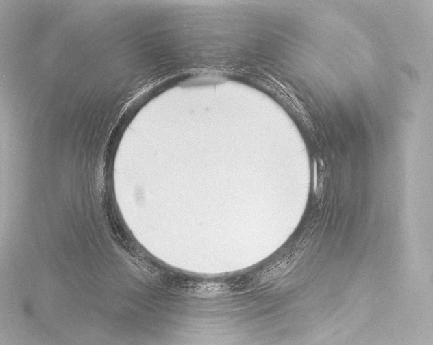 X0000115530204200912181534