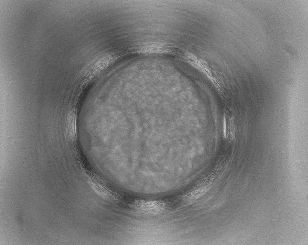 X0000115530205200912181534