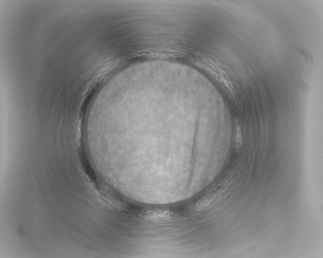 X0000115530206200912181534